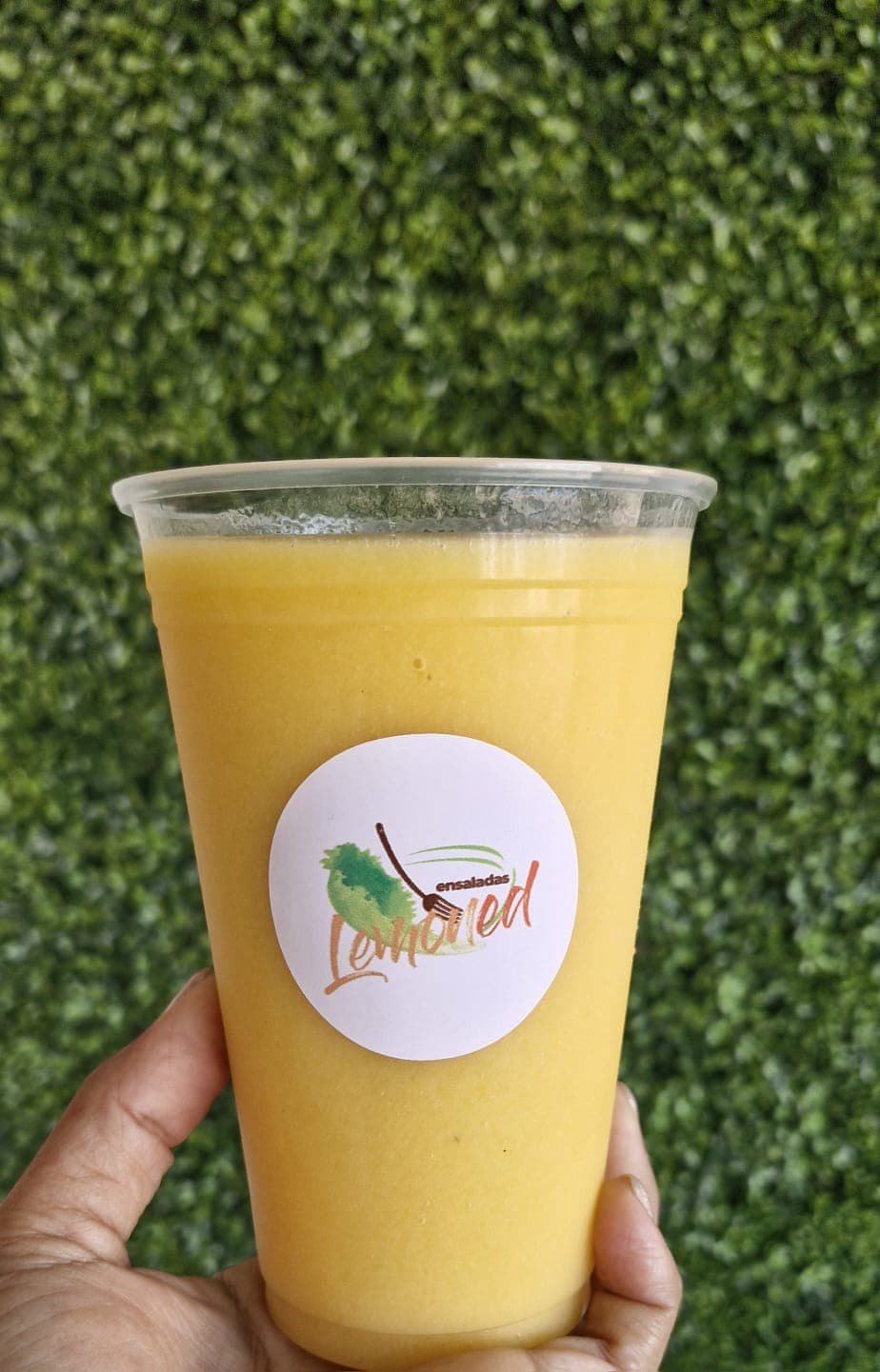 Agua de Frutas Natural