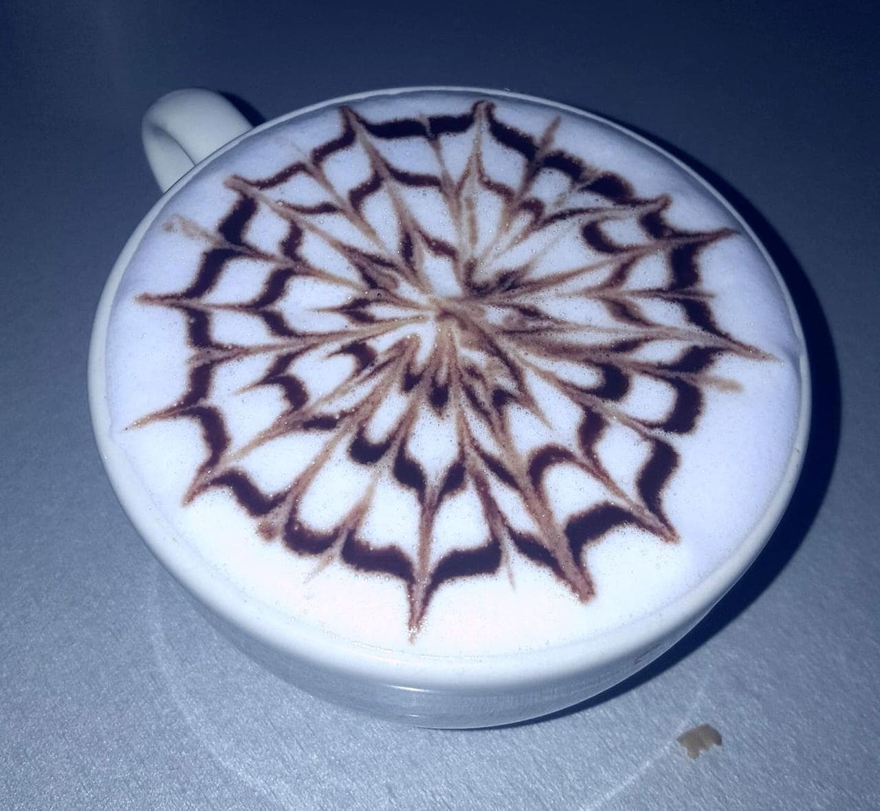 Choco Lavanda chico