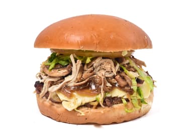 Hamburguesa Especial de Carne