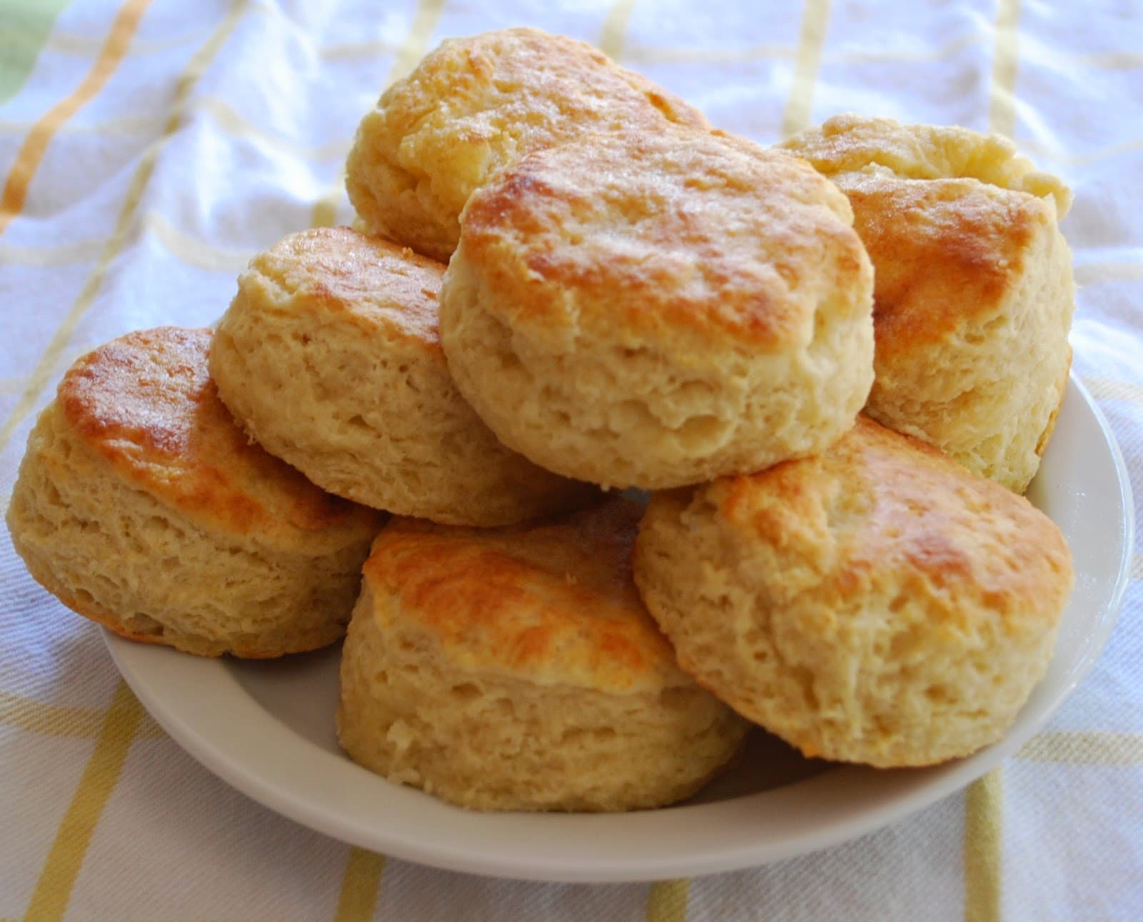Combo-Cafe Y Bisquet
