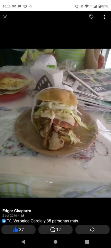 Torta Especial deshebrada
