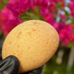 Nuevo Pan de Bono sin azucar x 2und