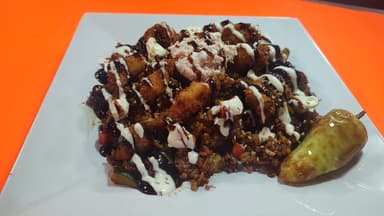 Arroz Frito Especial X2