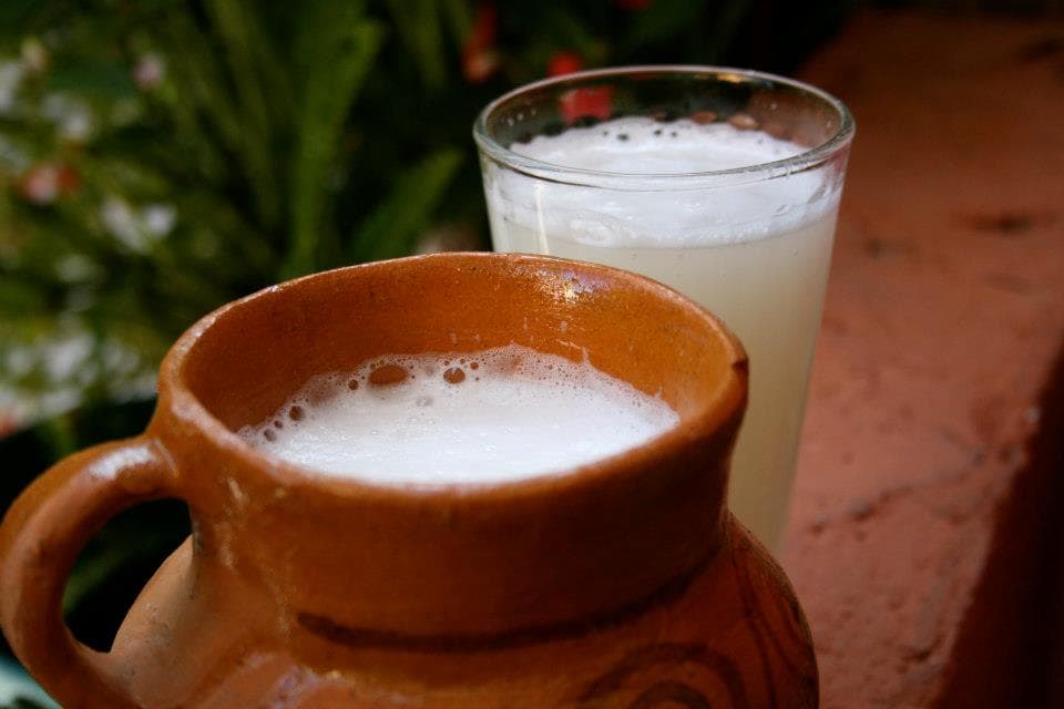 COMBO PULQUERO