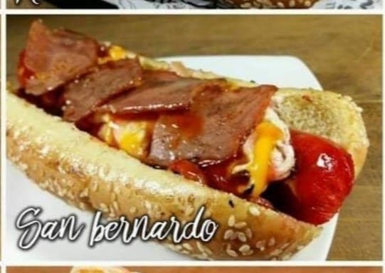 El San Bernardo