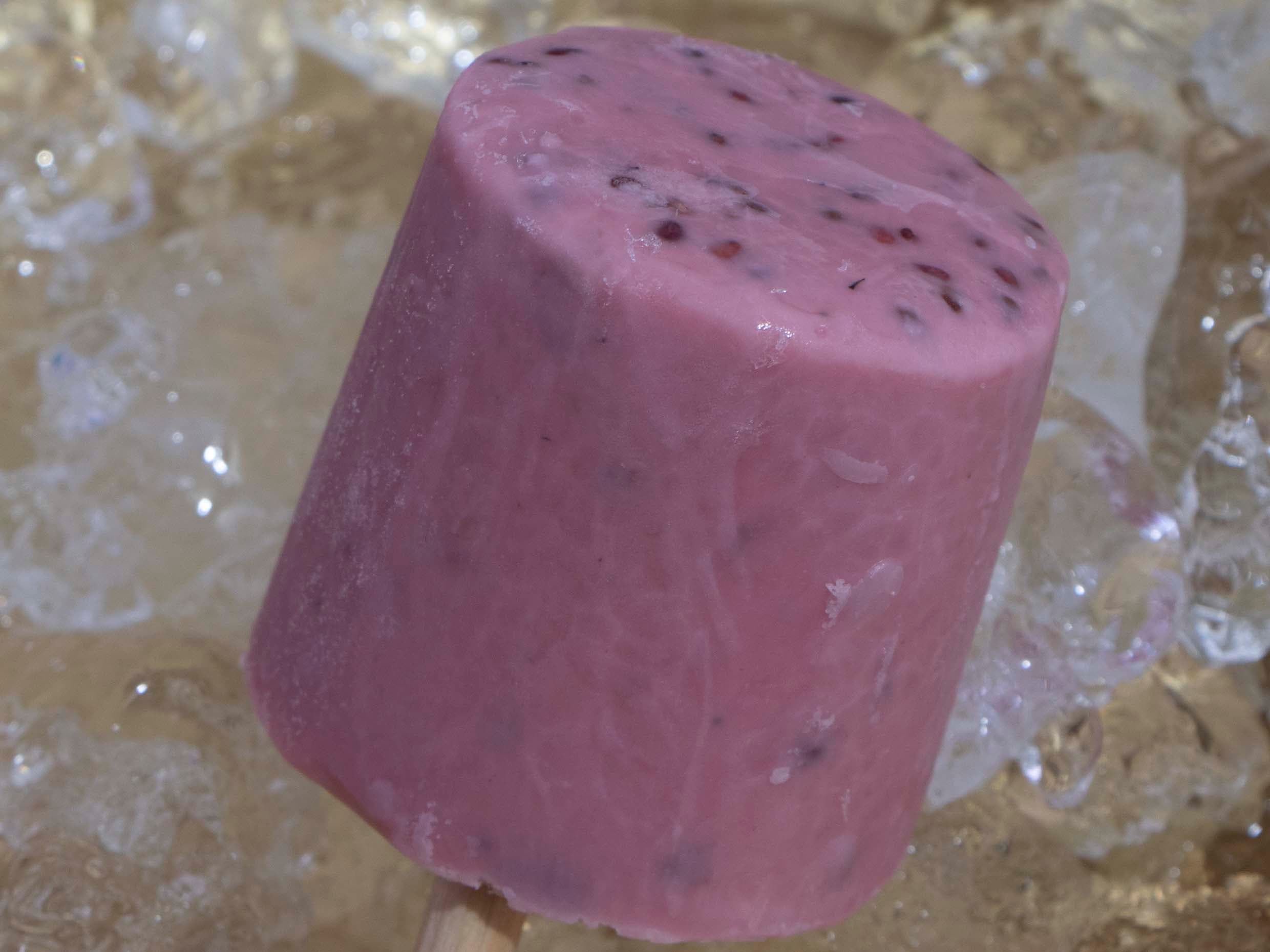 Paleta de Zarzamora