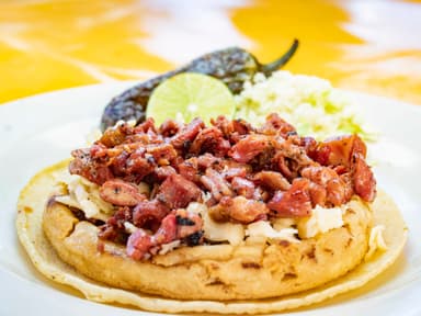 Gordita de Botana (Panza y Tripa)