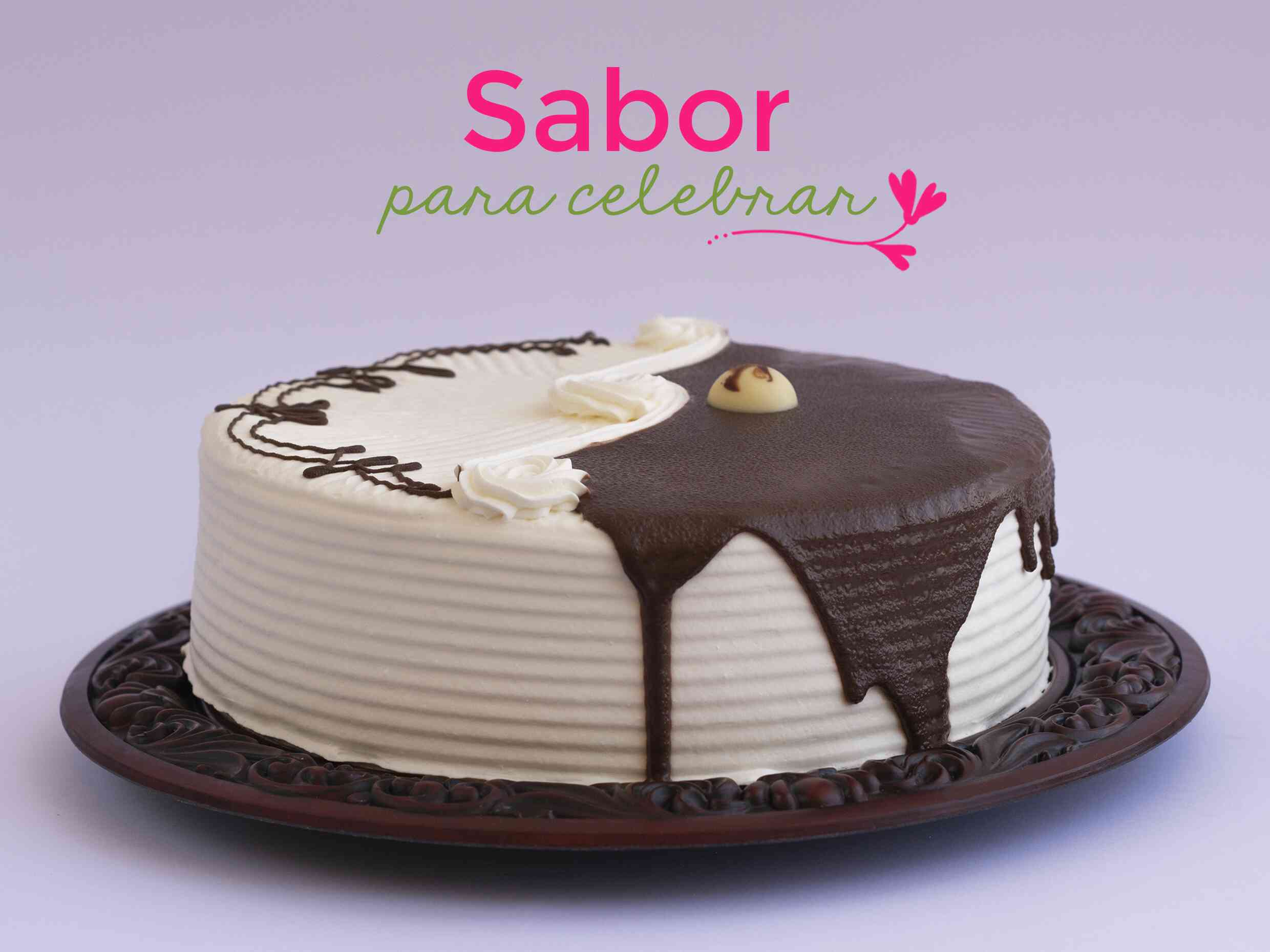 Pastel Sol y Sombra