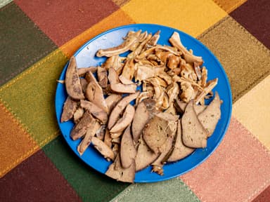 Plato Botanero