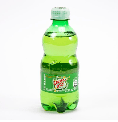 Ginger Ale 355 ml