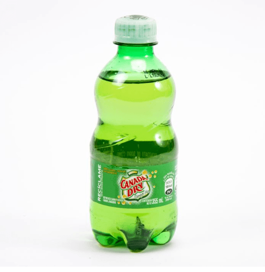 Ginger Ale 355 ml