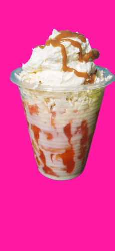 Salpicón Especial Mediano con Queso y Chantilly