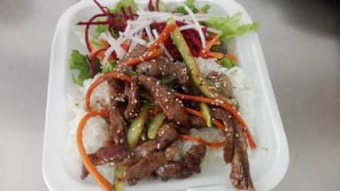 Teriyaki Carne