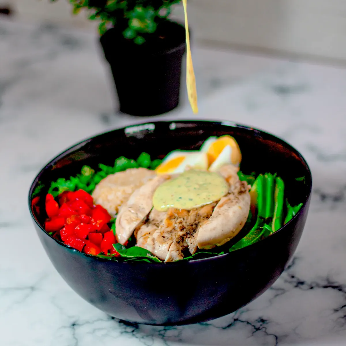 Protein Lover