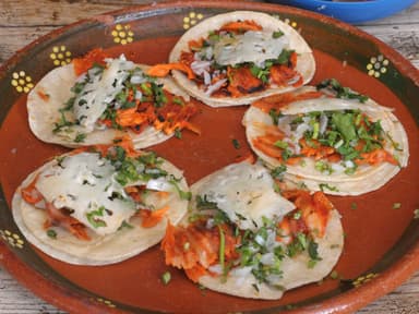 5 Tacos  Pastor con Tortilla de Harina  la Plancha