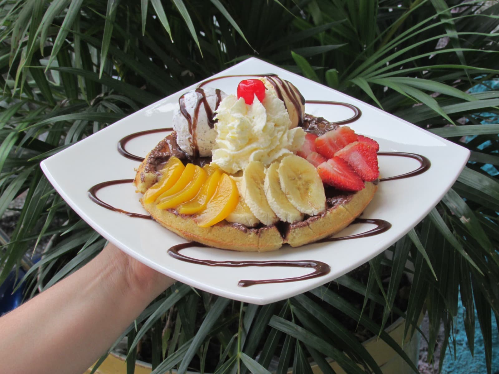 Waffle con Chocolate