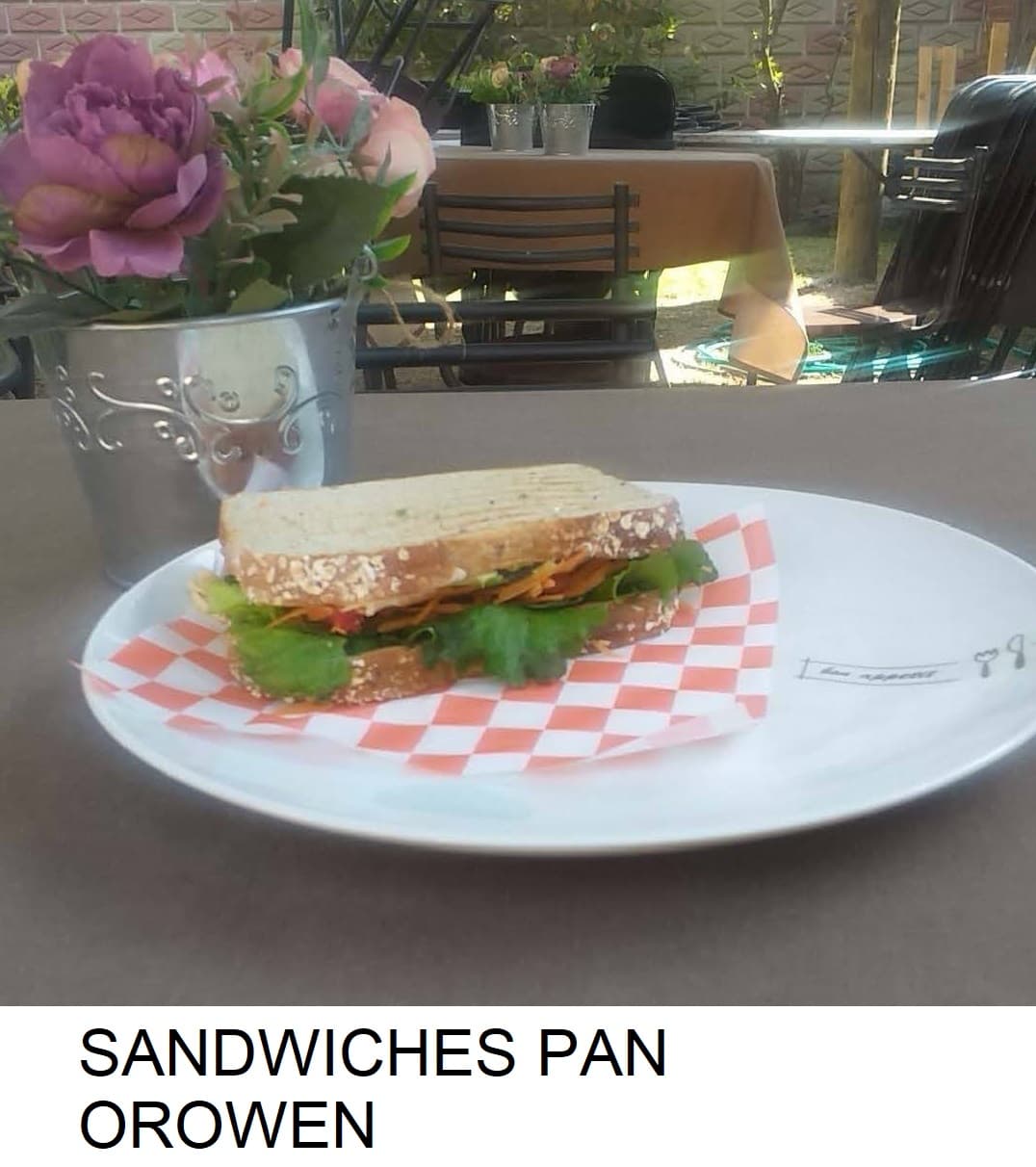 Sándwiches Pan Orowen