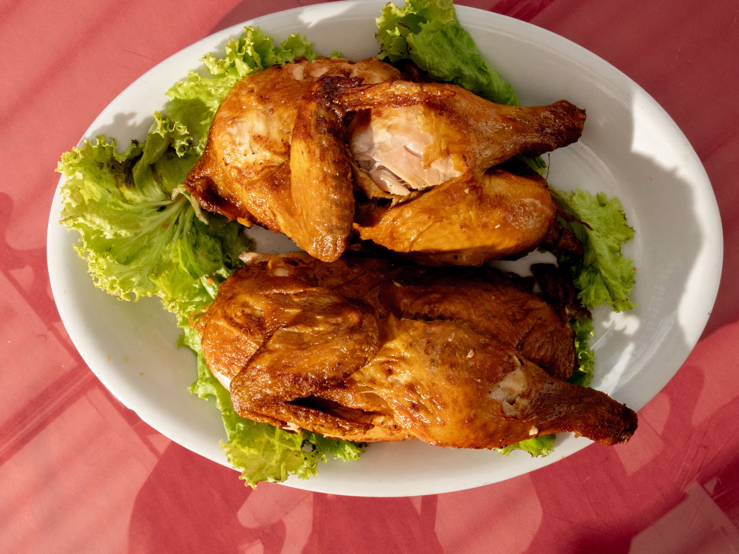 Pollo Solo