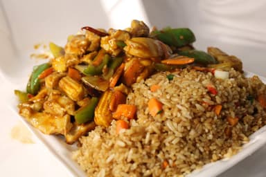 Pollo mongolia