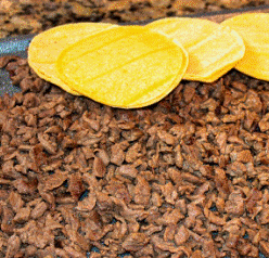 Kilo de Bistec