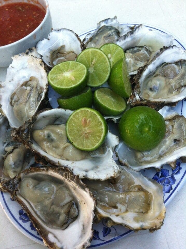 Ostiones Docena
