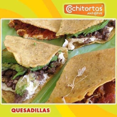 Quesadilla de Pollo