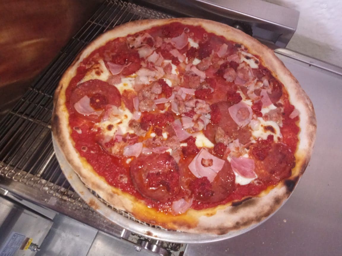 Carnivora