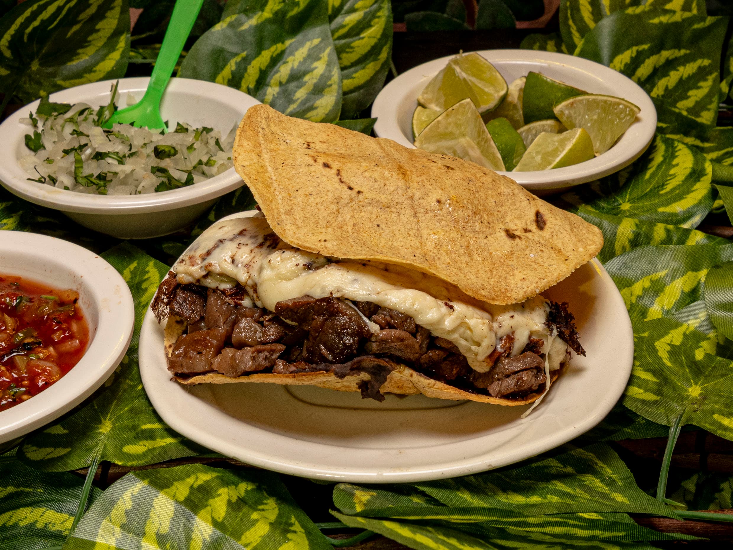 Vampiro de Carne Flaca Sin Gordo