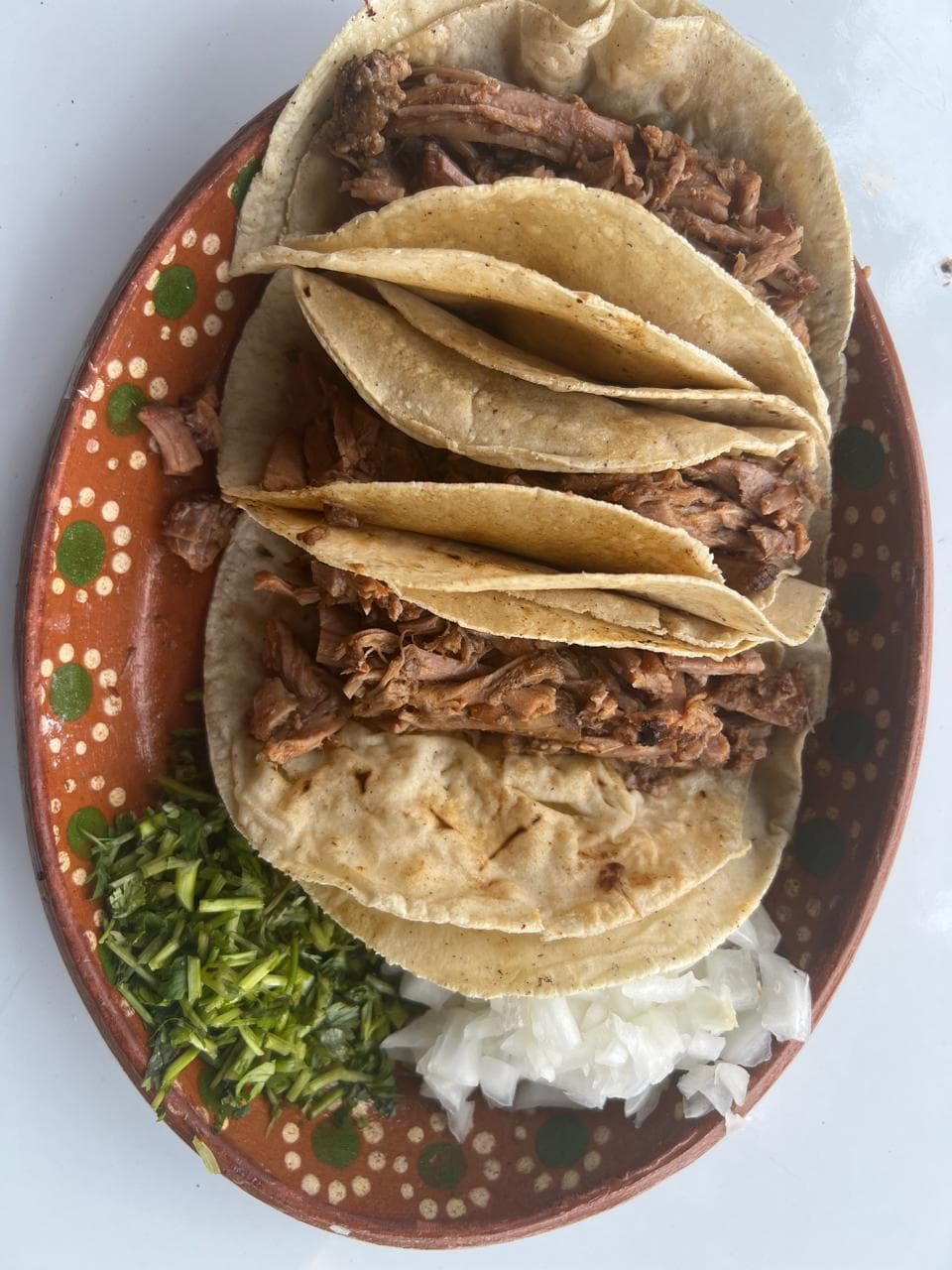 Taco de Birria Natural