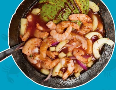 AGUACHILE GENERAL