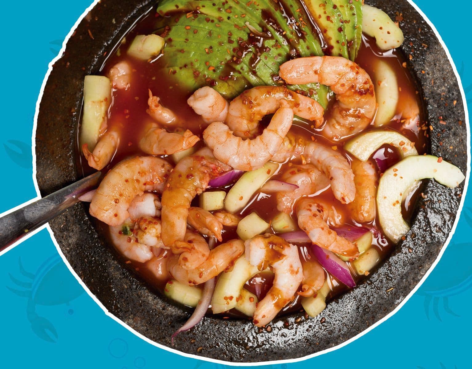 AGUACHILE GENERAL