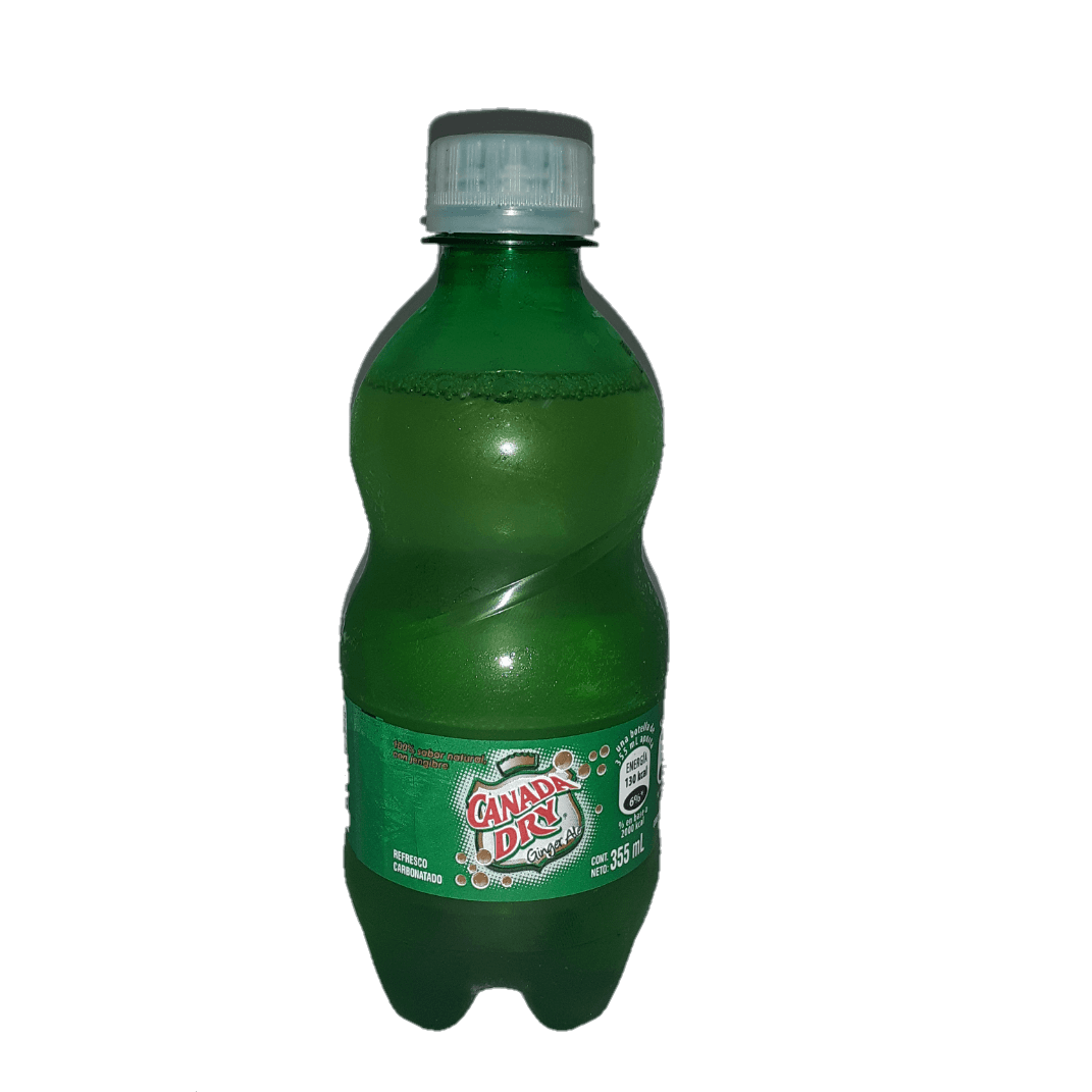 Ginger Ale 355 ml