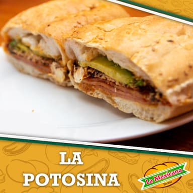 Potosina