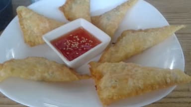 Empanadas Wonton