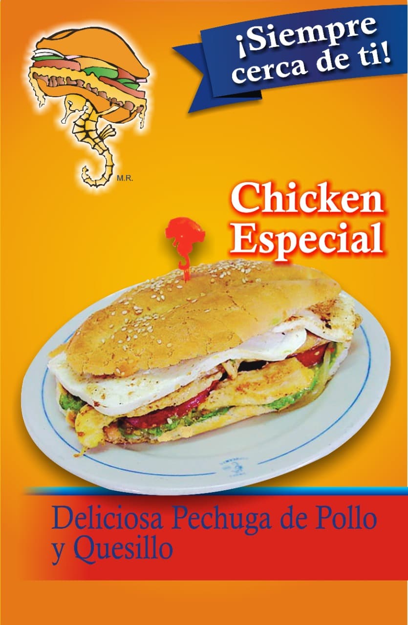 Torta Chicken Especial