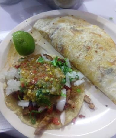Gringa de Bistec