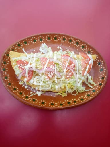 Quesadilla con Carne