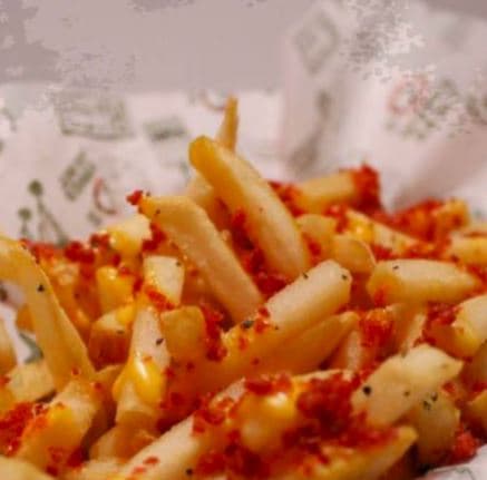 Bacon Chesse fries