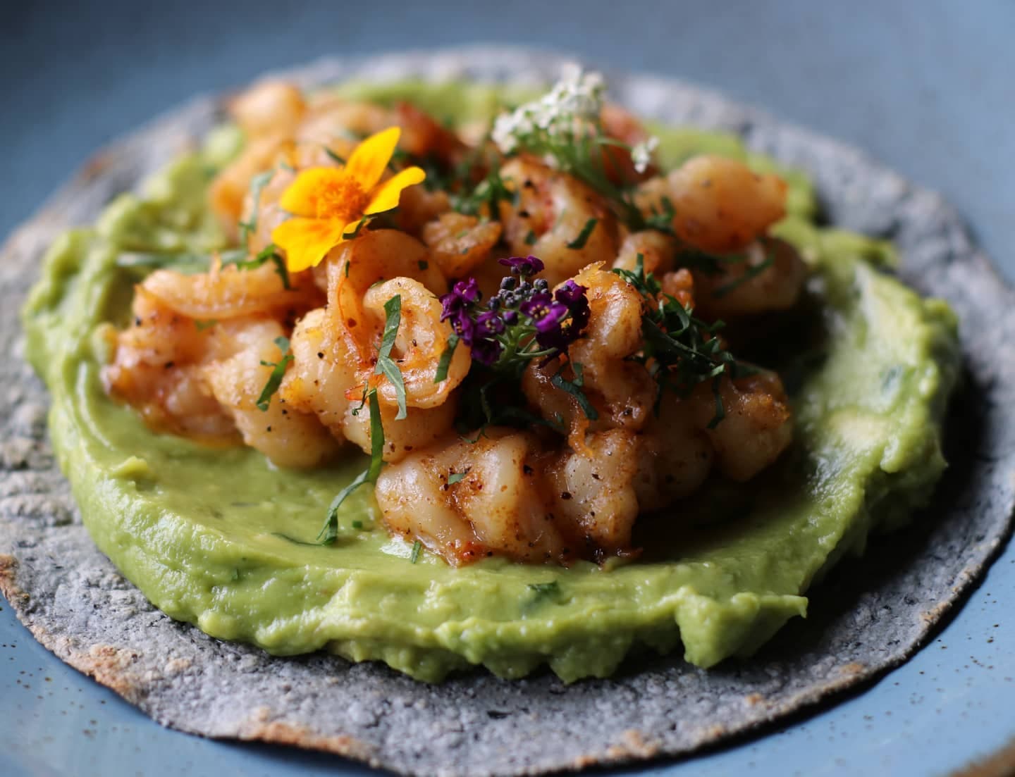 Tostada de Camarón