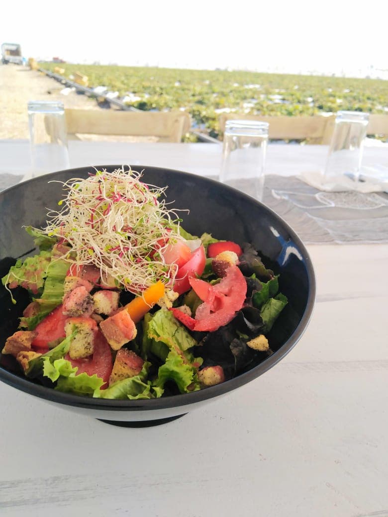 Ensalada