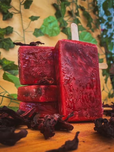 Paleta de Agua Jamaica
