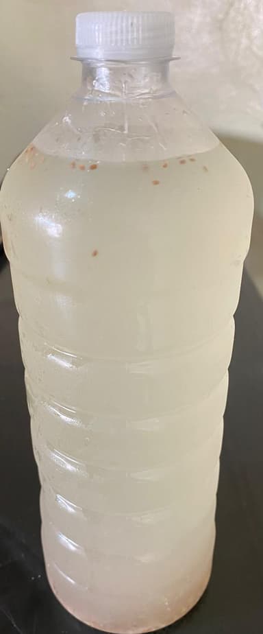 Limón con Chía