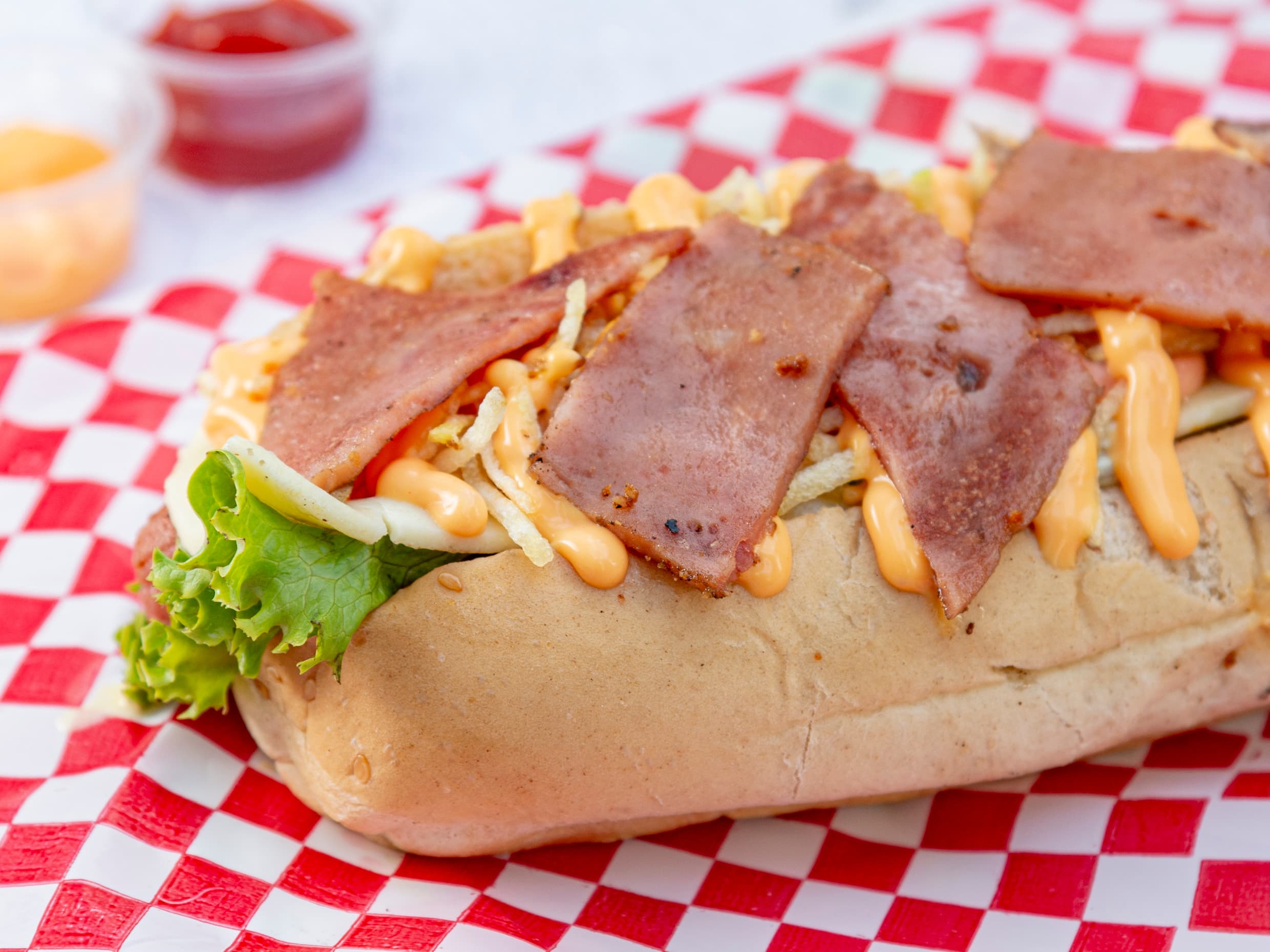 Hot Dog Especial