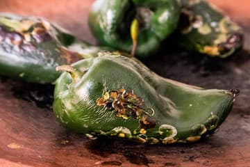 Chile Poblano