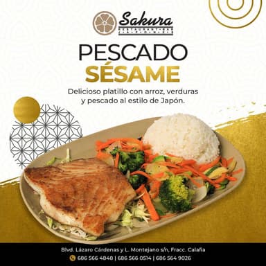 Pescado con Vegetales Sesame