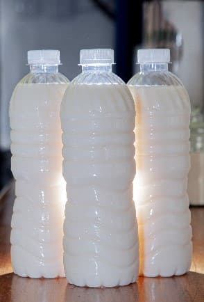 Horchata Chica