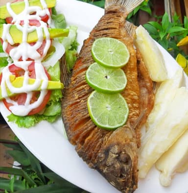 Bocachico