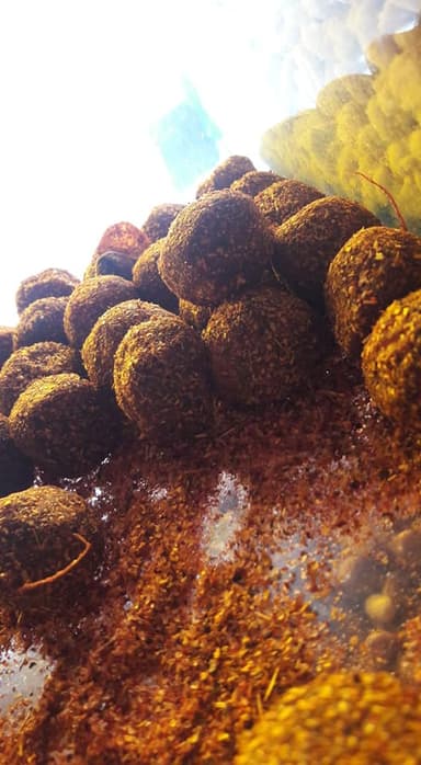 Gomitas de Frambuesa