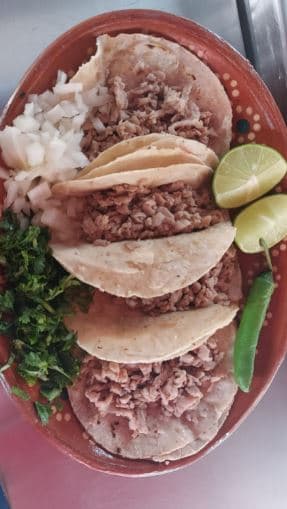 Taco bistec