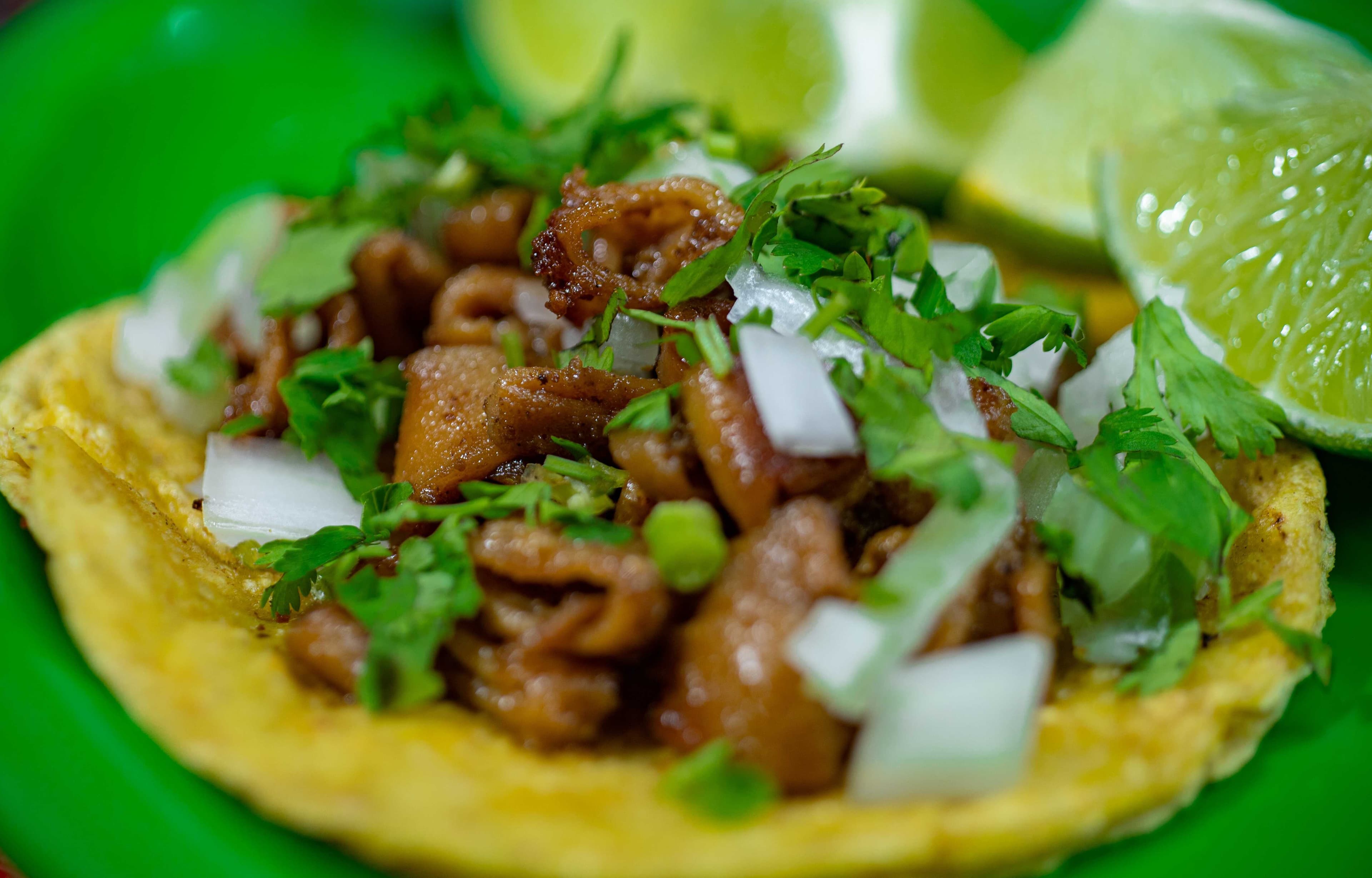 Taco Tripa